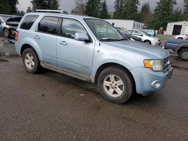 2008 Ford Escape HEV