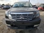 2007 Cadillac Escalade Luxury