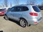 2007 Hyundai Santa FE SE