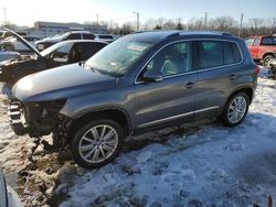 Volkswagen Tiguan s salvage cars for sale: 2014 Volkswagen Tiguan S