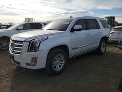 Salvage cars for sale at Brighton, CO auction: 2016 Cadillac Escalade Platinum