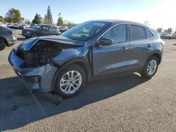 Ford salvage cars for sale: 2020 Ford Escape SE