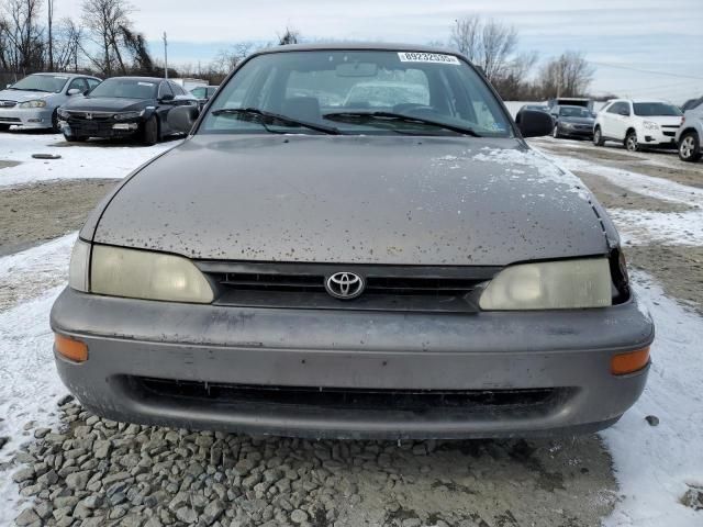 1995 Toyota Corolla