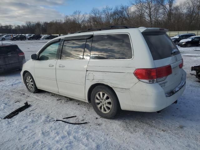 2010 Honda Odyssey EXL