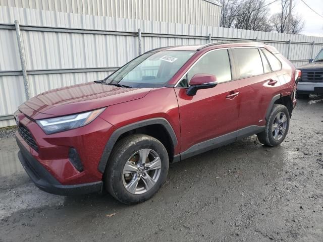 2022 Toyota Rav4 XLE