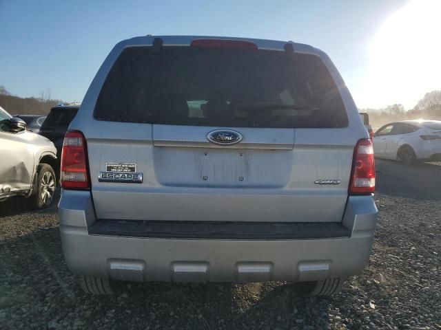 2008 Ford Escape XLT