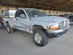 1999 Dodge Dakota