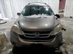 2010 Honda CR-V EXL