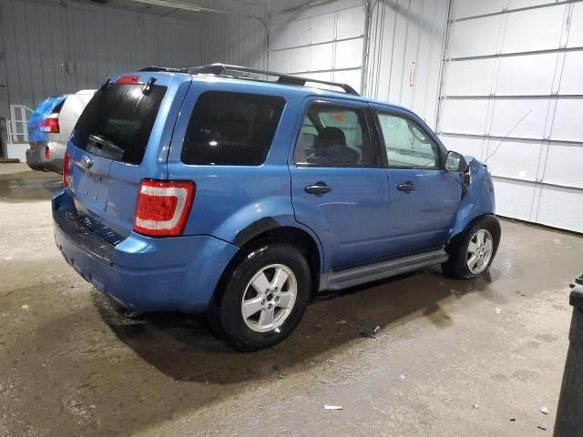 2009 Ford Escape XLT