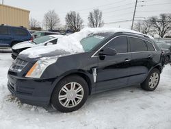 Cadillac salvage cars for sale: 2011 Cadillac SRX