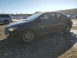 Salvage cars for sale at Laurel, MD auction: 2006 Scion TC