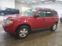 Salvage cars for sale at Davison, MI auction: 2011 Ford Escape XLT