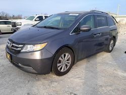 Salvage cars for sale from Copart Walton, KY: 2016 Honda Odyssey EXL