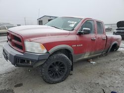 Salvage cars for sale from Copart Airway Heights, WA: 2010 Dodge RAM 1500