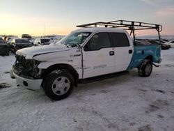 Salvage cars for sale at Helena, MT auction: 2013 Ford F150 Supercrew