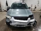 2005 Ford Escape HEV