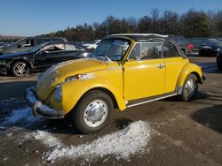 Salvage cars for sale at Brookhaven, NY auction: 1976 Volkswagen Beetle