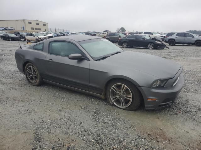 2013 Ford Mustang