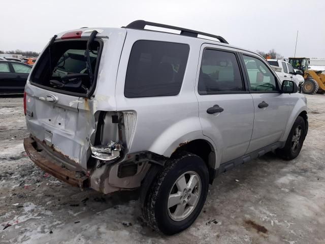 2011 Ford Escape XLT