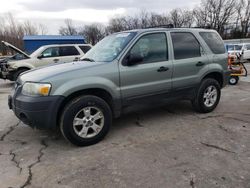 Ford salvage cars for sale: 2006 Ford Escape XLT