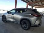 2024 Lexus NX 250 Premium