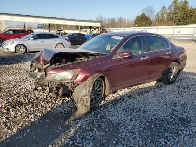 2011 Honda Accord EXL