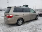 2005 Honda Odyssey EXL