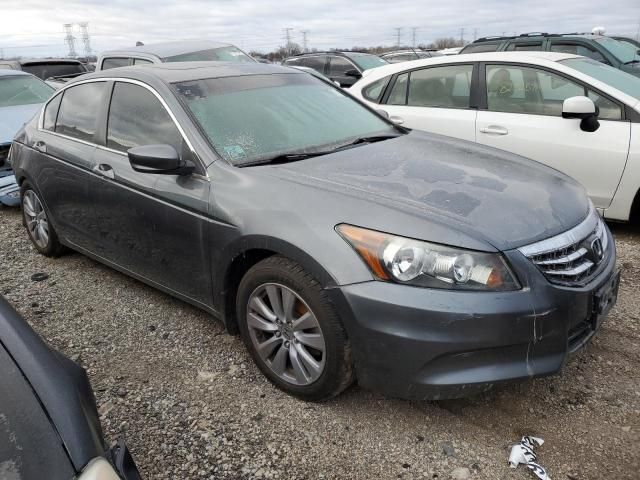 2011 Honda Accord EXL