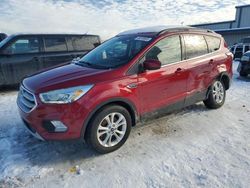 Ford Vehiculos salvage en venta: 2017 Ford Escape SE