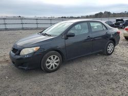 2010 Toyota Corolla Base en venta en Fredericksburg, VA