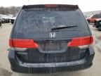 2008 Honda Odyssey EXL