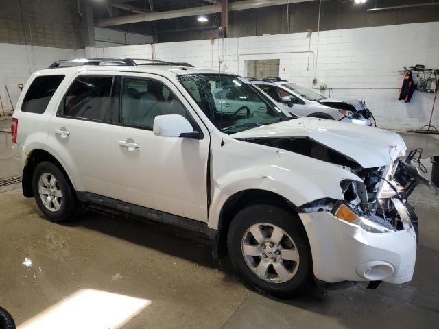 2010 Ford Escape Limited