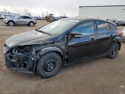 Ford Focus salvage cars for sale: 2013 Ford Focus SE