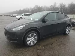 2023 Tesla Model Y en venta en Brookhaven, NY