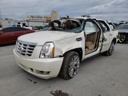 Salvage cars for sale at New Orleans, LA auction: 2011 Cadillac Escalade Premium