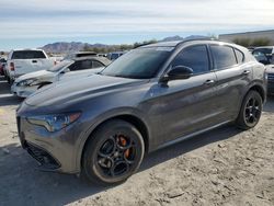 Alfa Romeo Stelvio Vehiculos salvage en venta: 2024 Alfa Romeo Stelvio TI