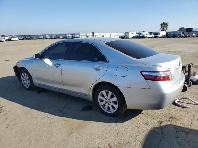 2009 Toyota Camry Hybrid