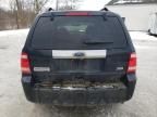 2010 Ford Escape Limited