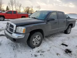 Dodge Dakota Vehiculos salvage en venta: 2005 Dodge Dakota Quad SLT