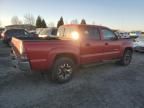 2010 Toyota Tacoma Double Cab