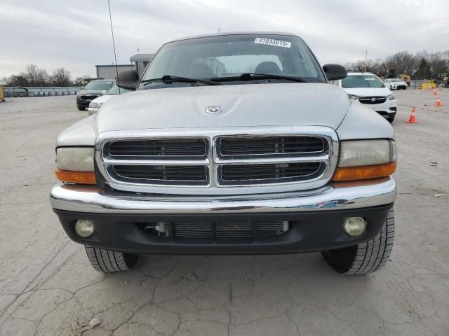 2001 Dodge Dakota Quattro