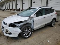 Salvage cars for sale at Louisville, KY auction: 2016 Ford Escape SE