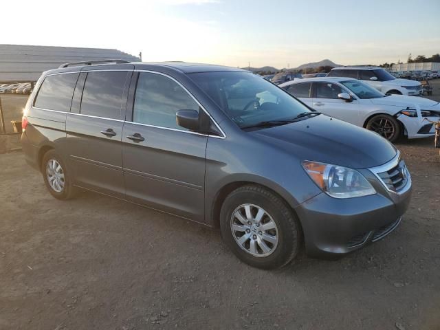 2008 Honda Odyssey EXL