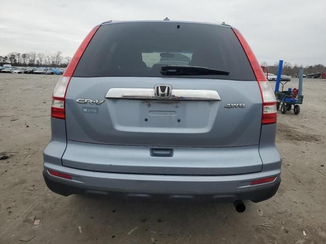 2010 Honda CR-V EXL