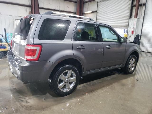 2011 Ford Escape Limited