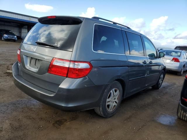 2007 Honda Odyssey EXL