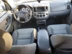 2004 Ford Escape XLT