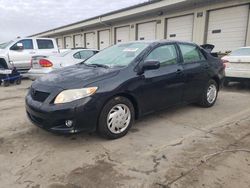 Toyota salvage cars for sale: 2010 Toyota Corolla Base