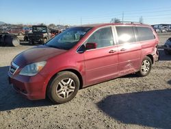 Honda Odyssey ex salvage cars for sale: 2006 Honda Odyssey EX