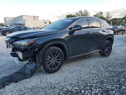 2024 Lexus NX 250 Premium en venta en Opa Locka, FL